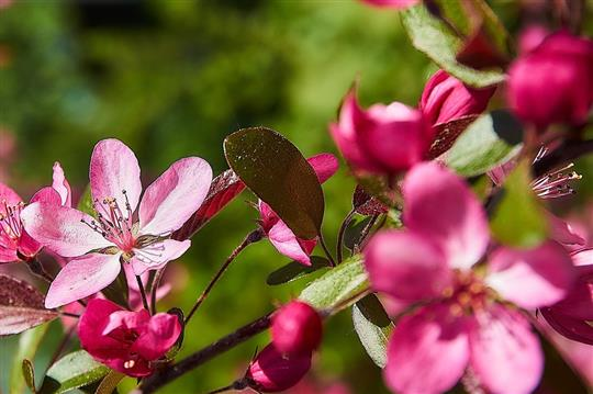 Vítězný Návrh Participativního Rozpočtu 2023