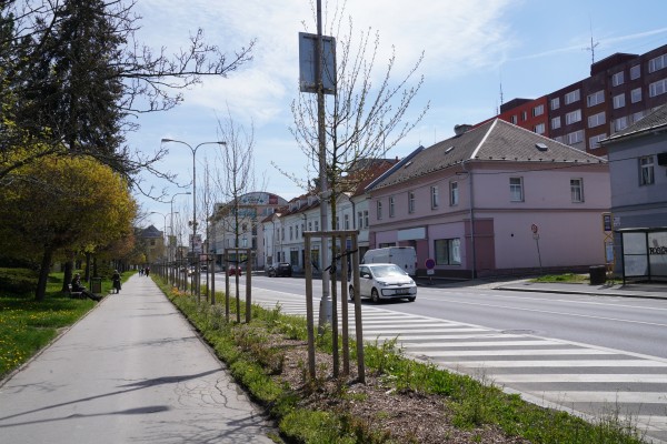 Izolační zeleň na ul. Jesenická, Rýmařovská v Bruntále