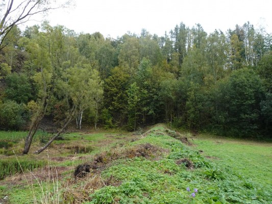 Lom u Marburku – revitalizace