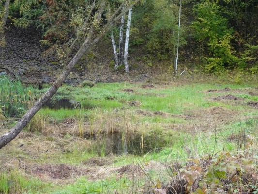 Lom u Marburku – revitalizace