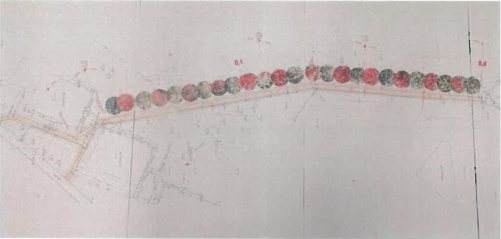 VYSÁZÍME NOVOU ALEJ OKRASNÝCH JABLONÍ