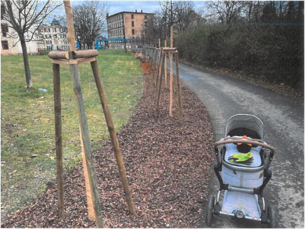 VYSÁZÍME NOVOU ALEJ OKRASNÝCH JABLONÍ